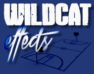 Wildcat Effects